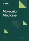 MOLECULAR MEDICINE雜志封面